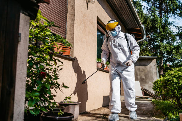 Best Pest Prevention Services  in Benjamin, UT