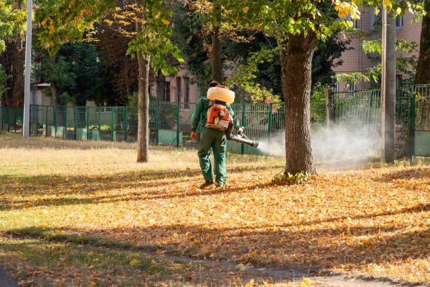 Best Local Pest Control Services  in Benjamin, UT